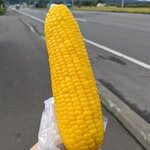 俺ん家のとうきび - 