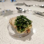 ウシマル - ヒゲダイ