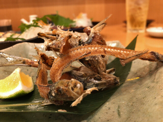 いわし屋 いわしや 神戸三宮 阪急 魚介料理 海鮮料理 ネット予約可 食べログ いわし屋 いわしや 神戸三宮 阪急 魚介料理 海鮮料理 ネット予約可 食べログ
