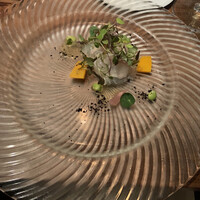 コレドガーナ - 