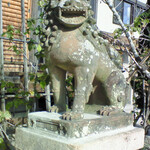 菊水 - 柿本神社の狛犬