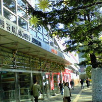 菊水 桜町本店 - 