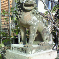 菊水 桜町本店 - 柿本神社の狛犬
