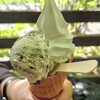 クローバー - 料理写真:「サンデー( ｿﾌﾄｸﾘｰﾑ & ｱｲｽｼﾞｪﾗｰﾄ·ｸｯｷｰ )」①