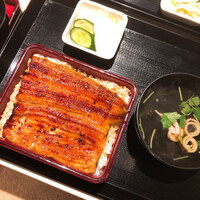 うなぎ 目白ぞろ芽 - 