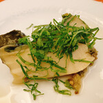 ペレグリーノ - 