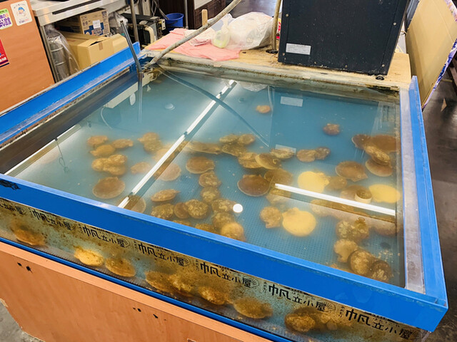 閉店 帆立小屋 青森 魚介料理 海鮮料理 食べログ 閉店 帆立小屋 青森 魚介料理 海鮮料理 食べログ