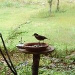 くつきそば 永昌庵 - 