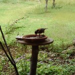 くつきそば 永昌庵 - 