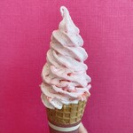 北からの贈り物 - 
