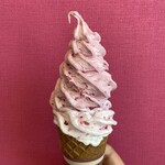北からの贈り物 - 