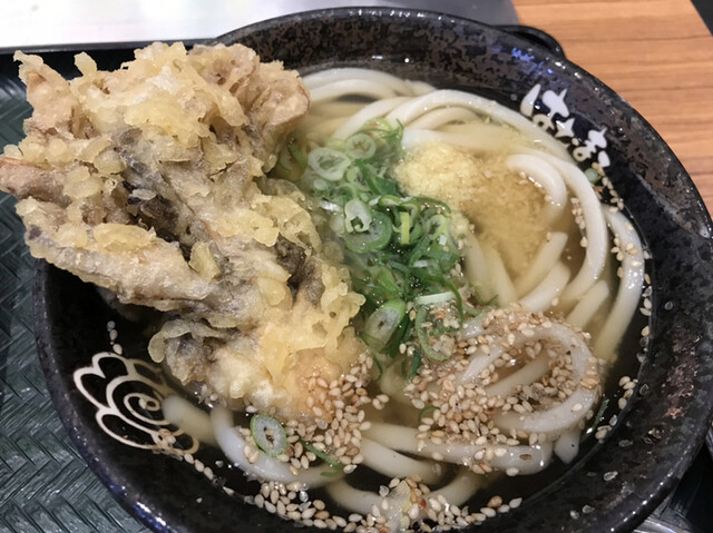 はなまるうどん 難波なんさん通り店 難波 南海 うどん 食べログ はなまるうどん 難波なんさん通り店 難波 南海 うどん 食べログ