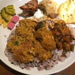 初台スパイス食堂 和魂印才たんどーる - 3種合い盛りでまかない風に