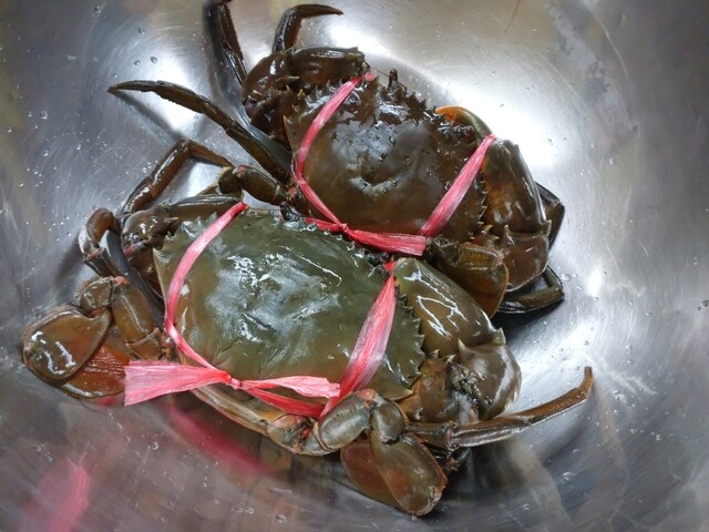 大満足 予約時にエガニのことを話してみたら仕入れてくれてました ヤバイくらいうまい 失敗しない食べ方はエガニを食べるまでは他の料理はガマンすること By Kaji727 土佐っ子 蓮池町通 郷土料理 その他 食べログ 大満足 予約時にエガニのことを話してみたら仕入れてくれてました ヤバイくらいうまい 失敗しない食べ方はエガニを食べるまでは他の料理はガマンすること By Kaji727 土佐っ子 蓮池町通 郷土料理 その他 食べログ