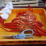 ベニズワイガニ1,000円分