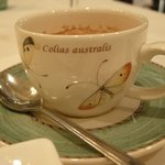 メゾン ドゥ アッシュ - エスプレッソ