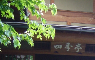 かしわや本店 name=
