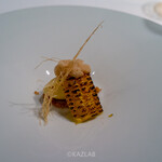 朗 長谷川稔Lab - 