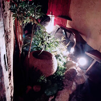 和牛懐石 但馬屋 梅田 - 