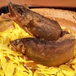 京天神 野口 - ●子持ち鮎