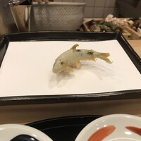 天ぷら はせ川 -  天ぷら はせ川 -