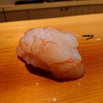 鮨 あらい - ボタンエビ