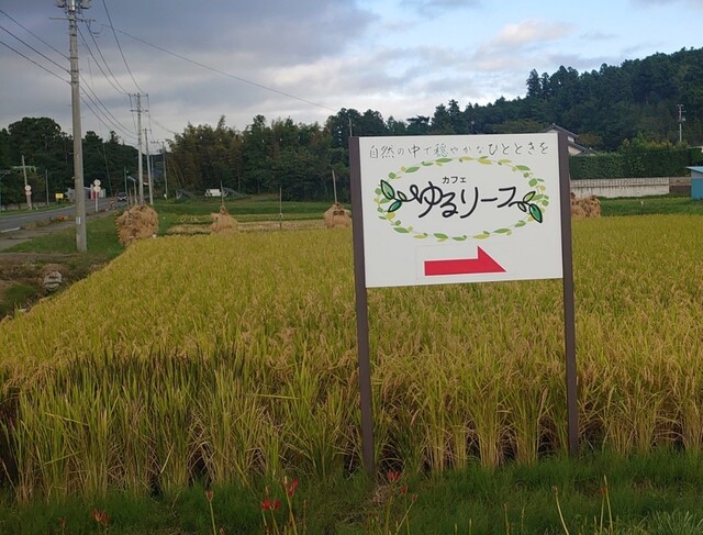 カフェ ゆるリーフ - 田尻（カフェ）の写真