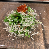 きりゅう - じゃこと水菜のサラダ