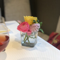 ジョンティ アッシュ - 