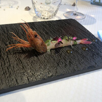 ジョンティ アッシュ - 