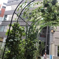 マディソン ニューヨーク キッチン - 