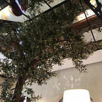 マディソン ニューヨーク キッチン - 