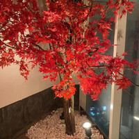 天空の月 渋谷 - 