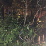 イチリン ハナレ - 