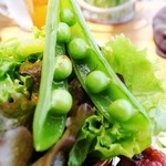 アンソレイユ - キッシュランチ