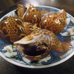 大衆料理　川治 - バイ貝