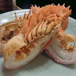 団扇（うちわ）海老