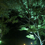 界 箱根 - 夜にお部屋から下を見下ろす