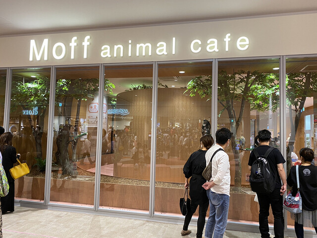 モフ アニマルカフェ ららぽーと愛知東郷店 （Moff animal cafe） 日進/その他 [食べログ]