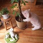 かつサンド工房 PANTON - 