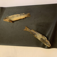 ラ・トゥーエル - 