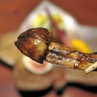 寿司 はせ川 西麻布店 - 男性目線