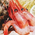 はてなのちゃわん - 