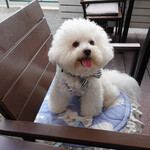 リストランテ ピッツェリア ジャンカルロ トウキョウ - 酒井くんに目が釘付け〜♡