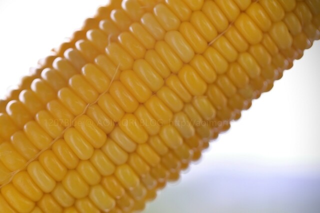 崎野農園 とうもろこし直売所 - 弘前市その他（その他）の写真