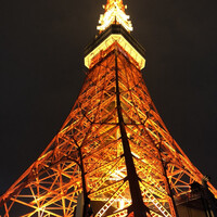 ワカヌイ グリル ダイニング バー 東京 - 