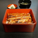 Unagi Akagaki - 