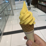 Kuroshio Ichiba - 和歌山みかんソフトクリーム　¥330