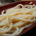 むさしのうどん桜 - ツヤのいい麺はコシもしっかり