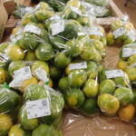 農産物直売所 こだま館 - 店内